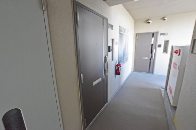 伊丹レックスマンションの玄関|玄関の現地外観写真です。