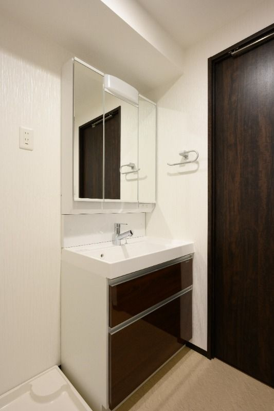 プレジオ弁天町EUROの洗面所