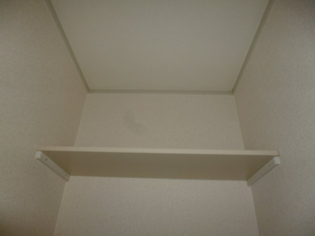 ロイヤルガーデンCの洗面所|洗濯機上棚