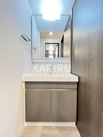 クレストコート堂島の洗面所