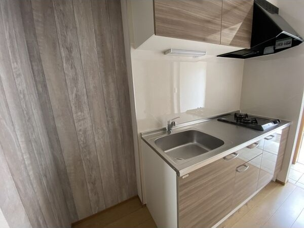 Graceful VIのキッチン