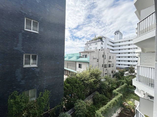 【展望】 | 代々木スカイハイツ | バルコニーからの眺望
