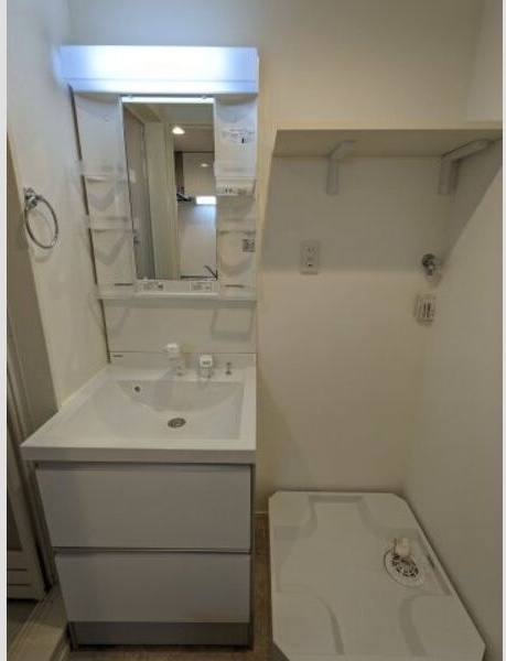 ハーモニーテラス鶴田Ⅱの洗面所