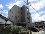 マリベールARASHIANSの画像