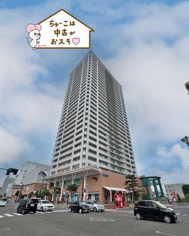 ライオンズタワー仙台長町の外観