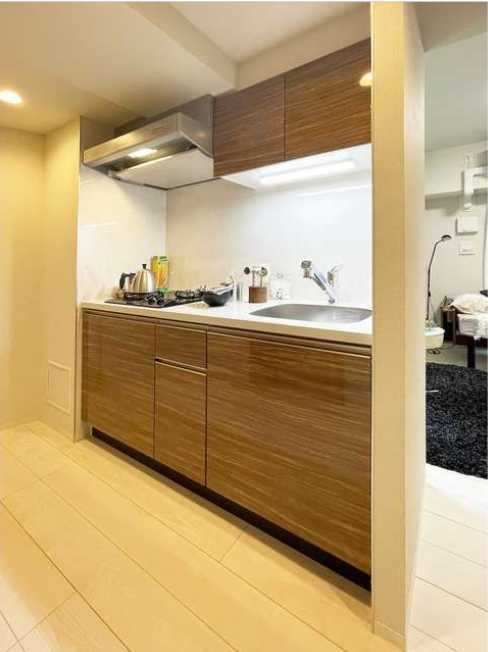 ルミエールラン　築浅　ペット相談　ネット0のキッチン