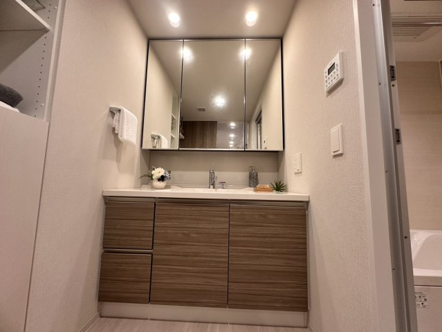 桜区田島3丁目分譲賃貸マンションの独立洗面台