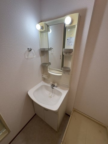 メゾン綾の洗面所