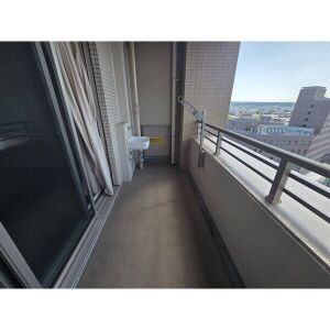グランドメゾン勝川ネクシティイーストの展望