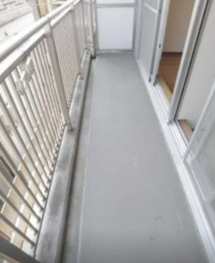 プロスパー世田谷A棟　オートロック　トランクルーム　ファミリー向けのバルコニー