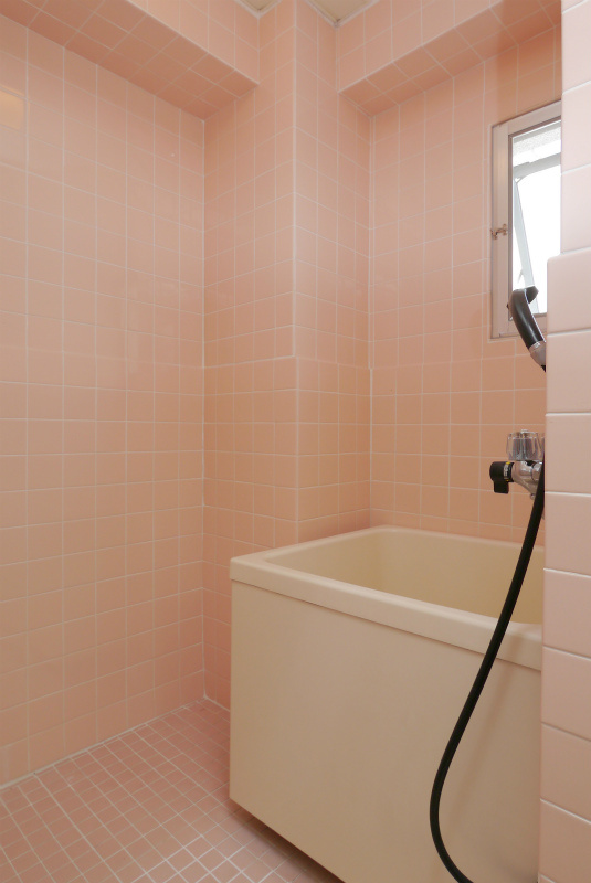 メゾン中川の浴室|メゾン中川301号室