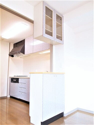 ライオンズマンション皆賀のその他|吊戸棚・カウンター　※2019年9月撮影