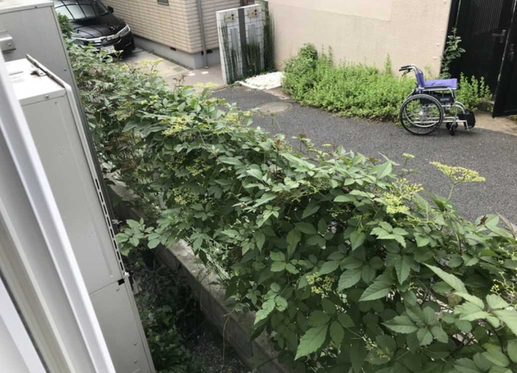 グレース駒沢　築浅　角部屋　洗髪洗面化粧台の展望