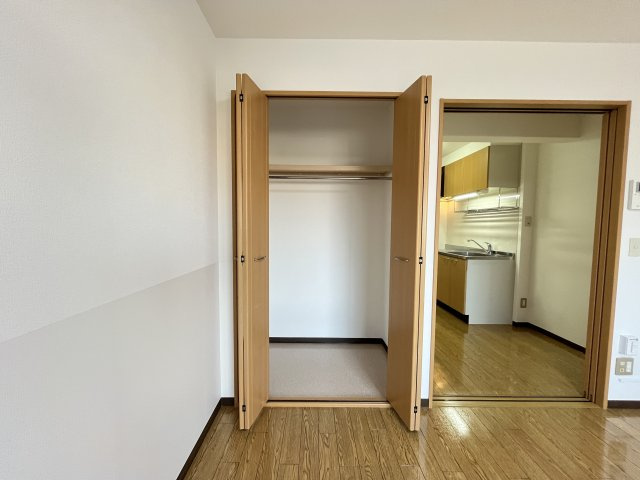 スカイマンションBの収納