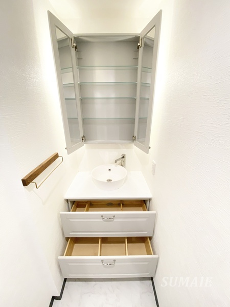 キャッスルカネコの洗面所|洗面台にも収納棚がたくさん