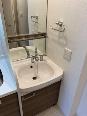 【洗面所】 | プレサンス心斎橋ラヴィ | 洗面所です