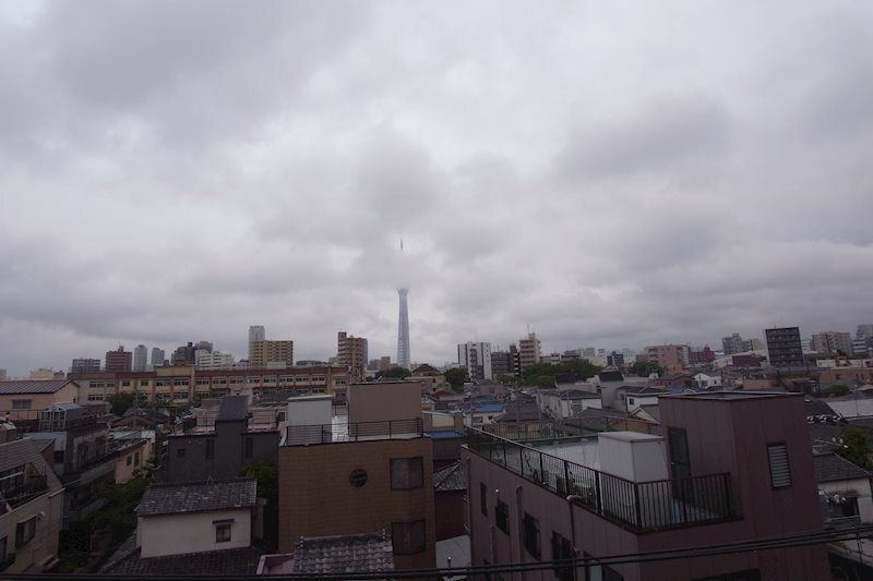 ブライトンブリッジの展望