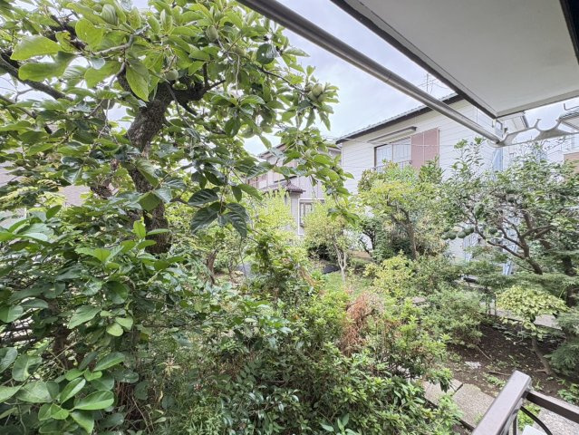 グリーンハイツの展望