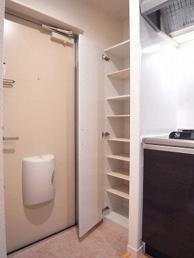 【玄関】 | リブリ・アプリコットガーデン | 同タイプ他号室写真