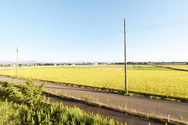 ビレッジハウス燕2号棟のその他|ビレッジハウスの同一物件・同一タイプの間取りの写真です