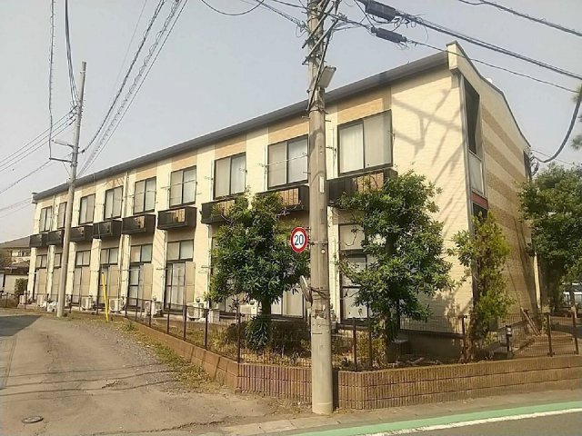 レオパレスピーヌス