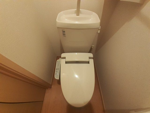 シャトー・ロワールⅠのトイレ|落ち着いたトイレです