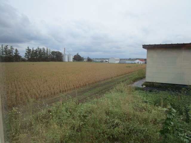 祥栄リースハウスの展望