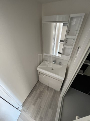 【洗面所】 | S-RESIDENCE日本橋Qualier | S-RESIDENCE日本橋Qualier（エスレジデンス日本橋クオリア）　洗面所