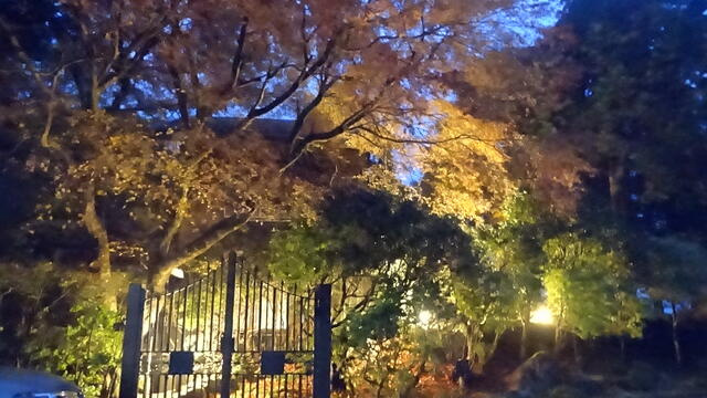 東急天城高原別荘地