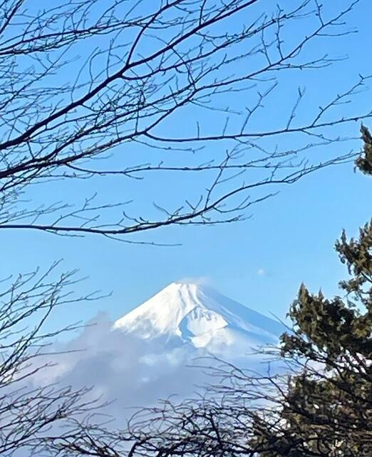 東急天城高原別荘地の展望
