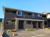 カメリアの画像