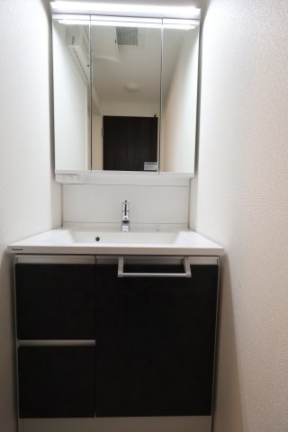 《仲介手数料無料》浦和区常盤３丁目11-5(1号棟)新築一戸建てミラスモの独立洗面台