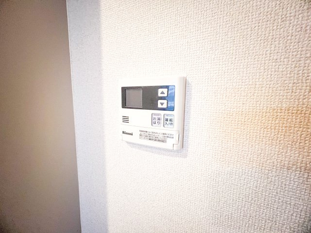 ブロッサムカスガデのその他