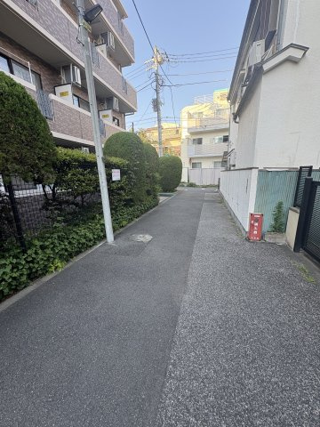 エクセリア文京池之端のその他|前面道路