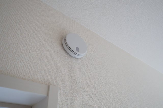 《仲介手数料無料》緑区大字中尾431(5号棟)新築一戸建てブルーミングガーデンのその他|撮影日 2025年11月20日 15:20 晴れ