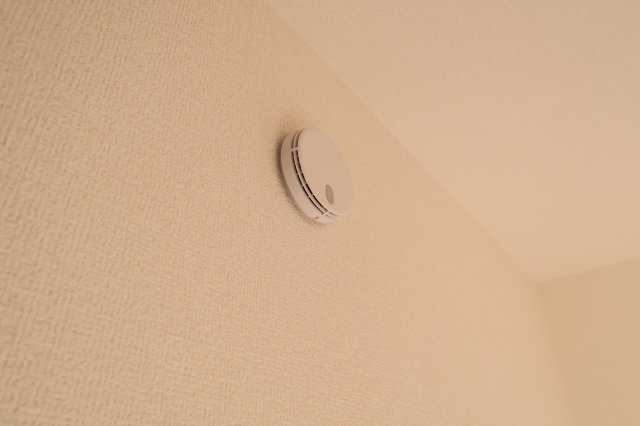 《仲介手数料無料》緑区大字中尾431(9号棟)新築一戸建てブルーミングガーデンのその他|撮影日 2025年11月20日 15:40 晴れ