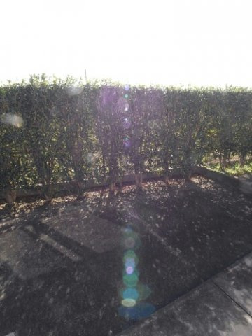 ハッピーシャトウⅡの庭