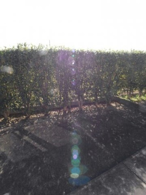 【庭】 | ハッピーシャトウⅡ