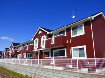 エストロジュマンの画像