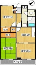 レジデンス小沢の間取り