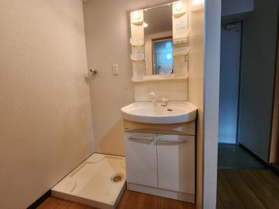 Peaceful朱雀（ピースフル朱雀）の洗面所