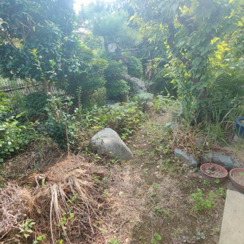 中古戸建　我孫子市新木野3丁目の庭