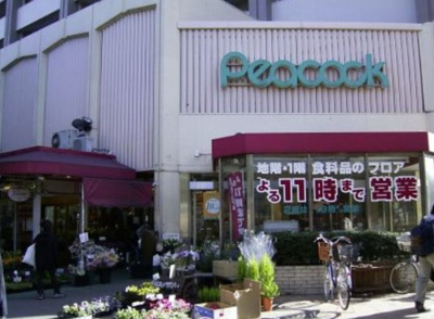 【周辺】 | サラスヴァティー