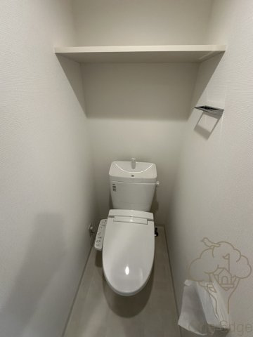 ソルテラス本庄西クレアストのトイレ