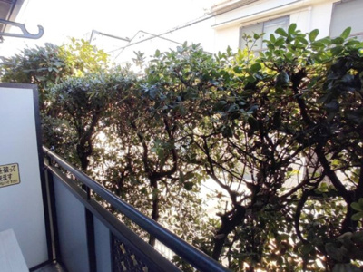 【展望】 | メゾンクアトロ