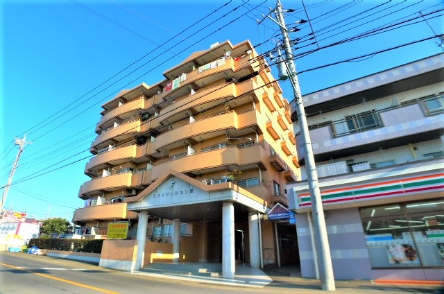 スカイマンション・藤の外観パース