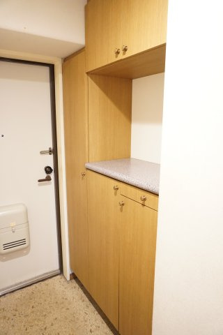 ディオ・フェルティ大東緑ヶ丘の玄関|うれしい玄関収納