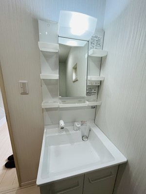 インターハイツの洗面所|忙しい朝には欠かせない洗面所です