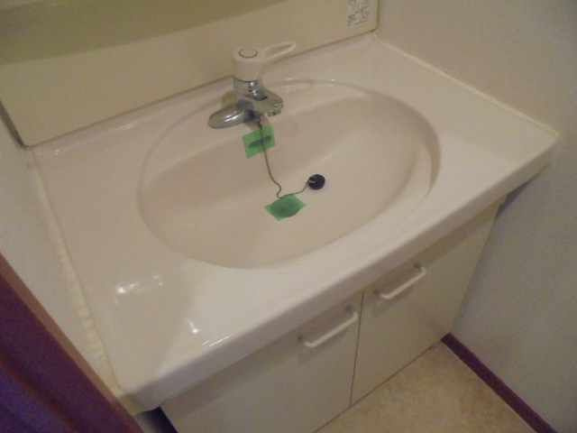 アベニュー白河の洗面所