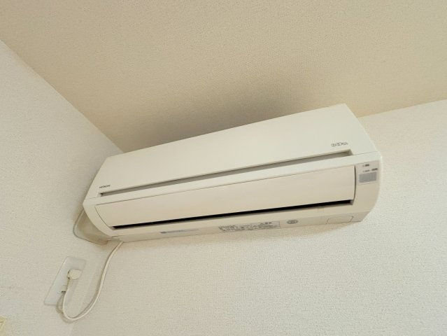 マリンフォードの設備